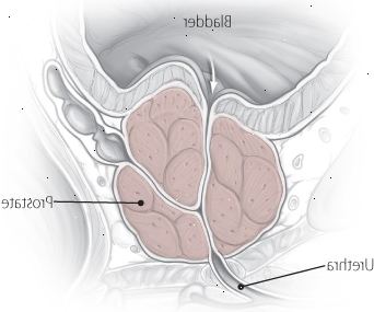 Μια ματιά στο εσωτερικό ΚΥΠ Μια ματιά στο εσωτερικό ΚΥΠ