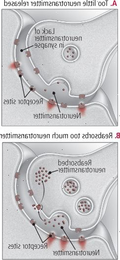 Ελλείψεις στον τομέα της επικοινωνίας νευρώνα Ελλείψεις στον τομέα της επικοινωνίας νευρώνα