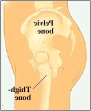 Πλάγια όψη του δεξιού ισχίου
