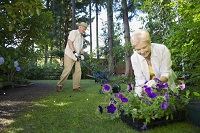 Κηπουρική Κηπουρική