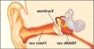Διατομή του αυτιού που δείχνει μέσου ωτός, τύμπανο, και το εξωτερικό αυτί.