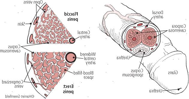 Για εργασίας Για εργασίας