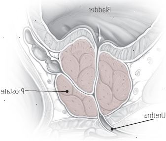 Μια ματιά στο εσωτερικό ΚΥΠ