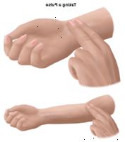 Απεικόνιση που καταδεικνύει πώς να πάρει έναν παλμό Απεικόνιση που καταδεικνύει πώς να πάρει έναν παλμό