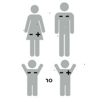 Εικονογράφηση rh παράγοντα: το μωρό είναι +-rh θετικό Εικονογράφηση rh παράγοντα: το μωρό είναι +-rh θετικό