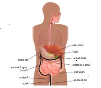 Απεικόνιση που καταδεικνύει μια κολονοσκόπηση, μέρος 1 Απεικόνιση που καταδεικνύει μια κολονοσκόπηση, μέρος 1