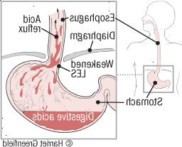 ΓΟΠΝ: οξύ για την άνοδο ΓΟΠΝ: οξύ για την άνοδο