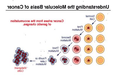 Διάγραμμα των μεταλλάξεων κυττάρων