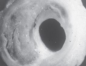 Όλα αυτά τα μπιφτέκια