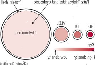 Η ιστορία σωματίδια