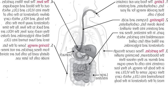 Πώς γίνεται χοληστερόλη τρόφιμα