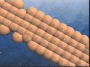 Ο καρκίνος αποτελείται από ανώμαλα κύτταρα που πολλαπλασιάζονται συνεχώς